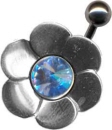 Silber Piercing Schild.