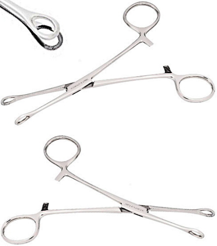 mini_sponge_piercing_zange